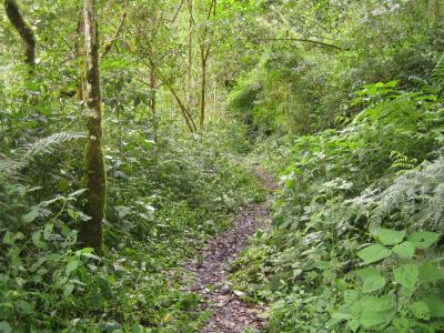 Dieser Weg ist einer der sehr gut begehbaren..